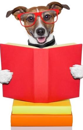 Smart puppy reading book